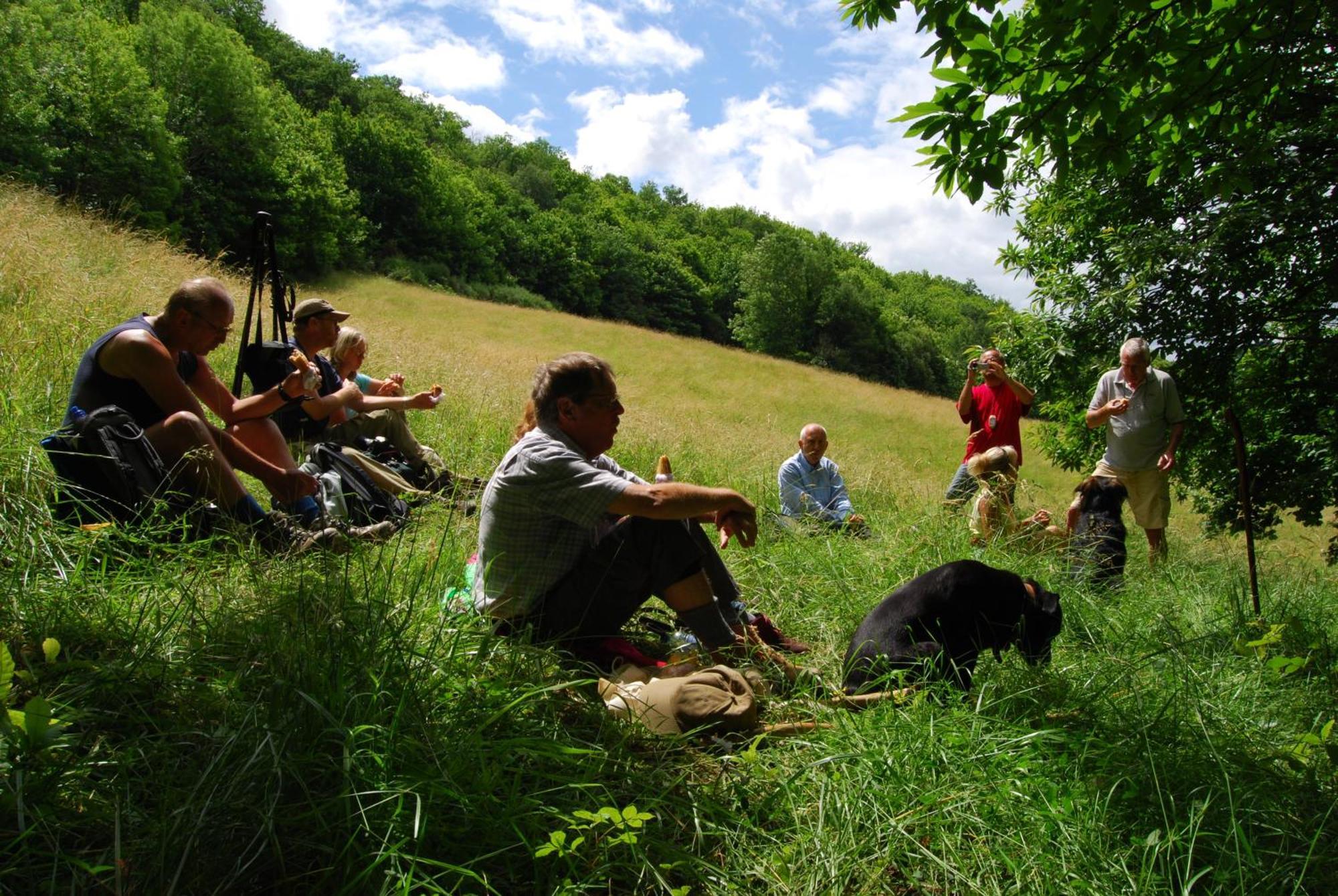 Domaine La Libaudie Hotell La Bastide-Solages Eksteriør bilde